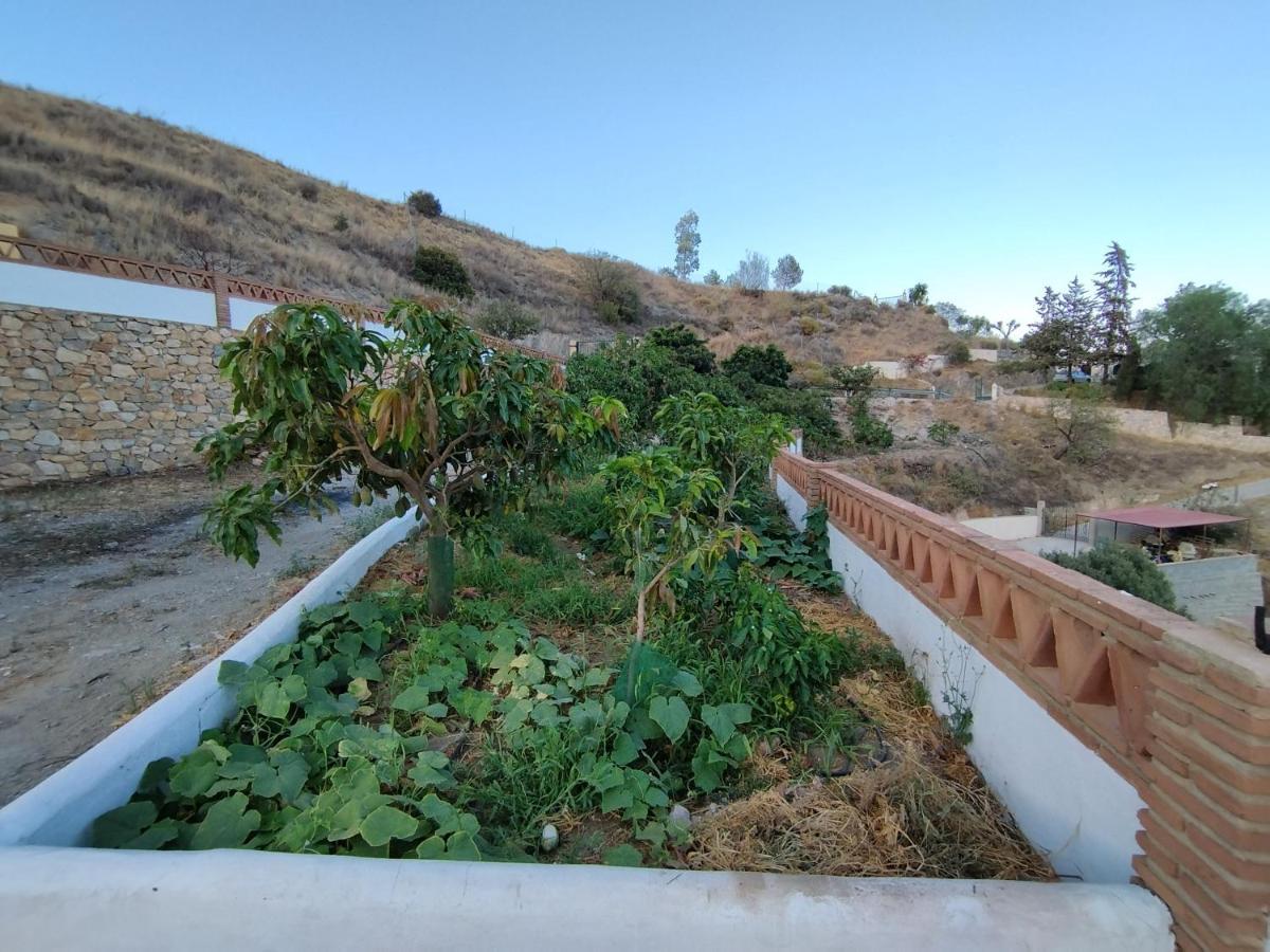 Cortijo La Yegua Hébergement de vacances *