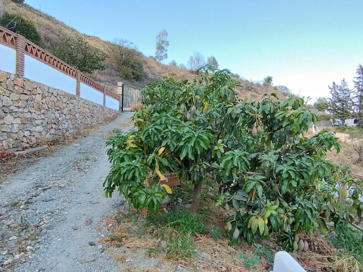 Cortijo La Yegua Vakantiehuis